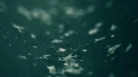 Snow Flakes 004 Stock Footage 11110467