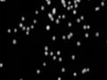 Snow Flakes 11 XL Web Footage