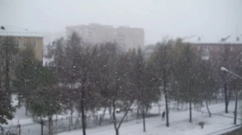 Snow flakes on a background of the city Stock Footage 68818543