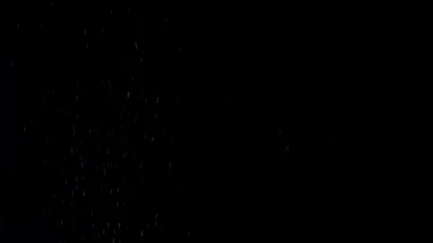 Snow flakes on a black background Stock Footage 123154664