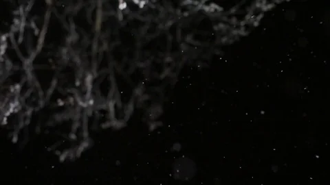 Snow flakes in the black sky fall from above Video stock 126350242