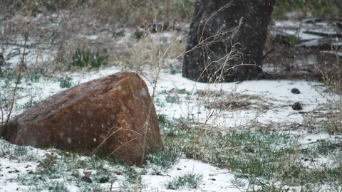 Snow Flakes Bouncing Off Boulder in Slow Motion in Colorado Video stock 106390026