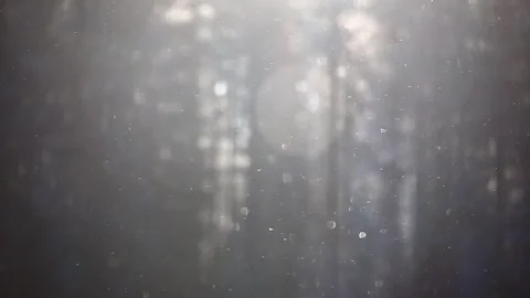 Snow flakes calmly falling in the sunlight Stock Footage 150804797