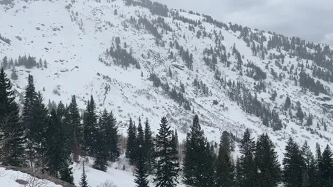 Snow flakes fall in the mountains of Utah Video stock 329452626