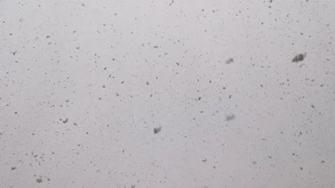 Snow flakes fall from the sky in a dark winter sky. Snowfall, background. Stock Footage 145975495