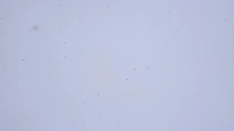 Snow flakes fall from the sky Stock Footage 147512516