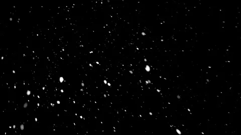 Snow flakes falling on black background. Stock Footage 114583830