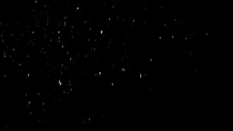 Snow flakes falling on black background. Stock Footage 114583834