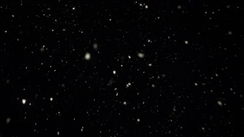 Snow flakes falling on black background. Stock Footage 114583914