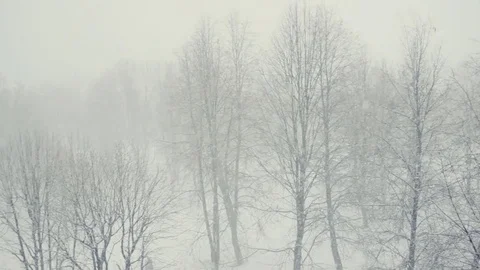 Snow flakes falling blizzard 動画素材 71217408