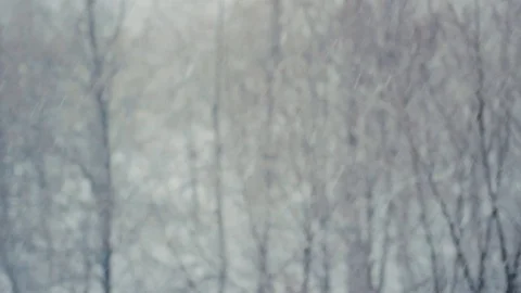 Snow flakes falling blizzard 動画素材 71217630