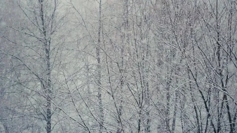 Snow flakes falling blizzard 動画素材 71217780