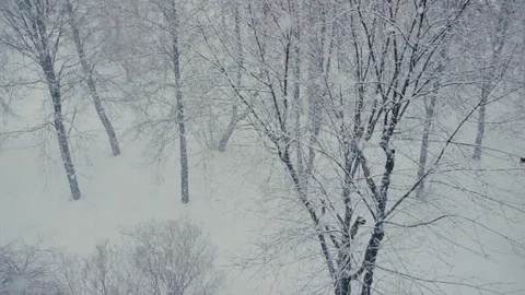 Snow flakes falling blizzard 動画素材 71217862