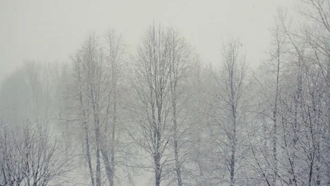 Snow flakes falling blizzard Stock Footage 71218002