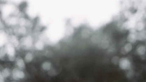 Snow flakes falling down Stock Footage 100872407