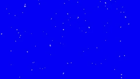 Snow flakes falling in front of blue screen Stock Footage 252512805