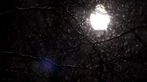 Snow flakes falling in front of light at night Stock Footage 71223027