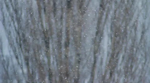Snow Flakes Falling HD Stock Footage 33623590