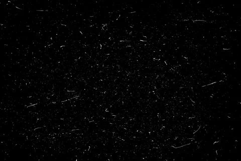 Snow flakes falling isolated Stock Illustration