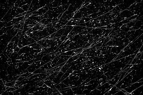 Snow flakes falling isolated 스톡 일러스트