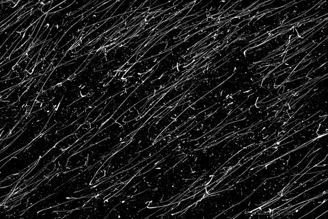 Snow flakes falling isolated 스톡 일러스트