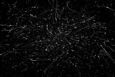 Snow flakes falling isolated 스톡 일러스트