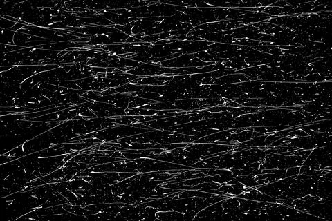 Snow flakes falling isolated Stock Illustration