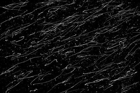 Snow flakes falling isolated Stock Illustration