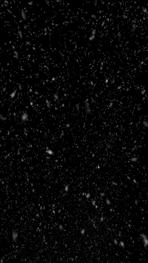 Snow flakes falling in a light blizzard, in portrait aspect Stock Footage 120176396