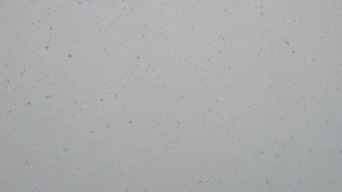 Snow flakes falling from the sky. Stock Footage 129234199