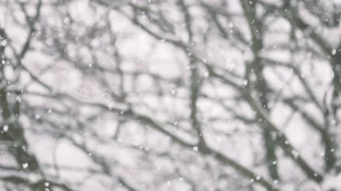 Snow flakes falling in slow motion. Stock Footage 159541144