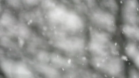 Snow flakes falling in slow motion. Stock Footage 159541169
