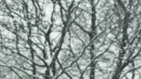 Snow flakes falling in slow motion. Stock Footage 159541199
