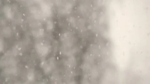 Snow flakes falling in slow motion. Stock Footage 159541231