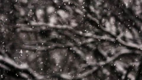 Snow flakes falling in slow motion. Stock Footage 159541262