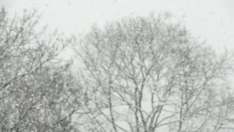 Snow flakes falling in slow motion. Stock Footage 159541325