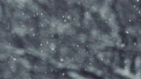 Snow flakes falling in slow motion. Stock Footage 159541348