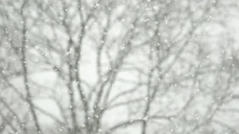 Snow flakes falling in slow motion. Stock Footage 159541385
