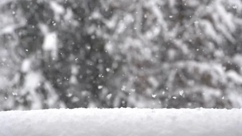 Snow flakes falling in slow motion Stock-Footage 281124874