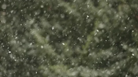 Snow flakes falling variation 2 Stock Footage 84279775