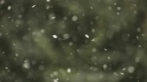 Snow flakes falling variation 3 Stock Footage 84280180