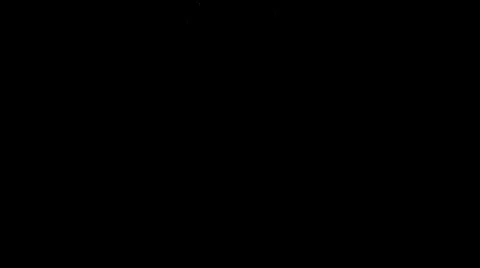 Snow flakes falling in the wind Stock-Footage 935245