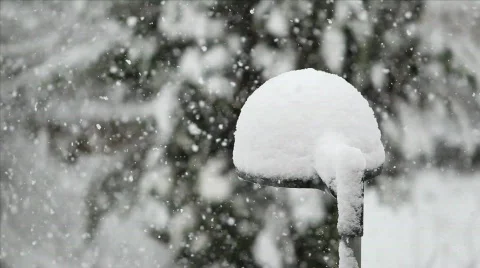 Snow flakes 库存影片 693732