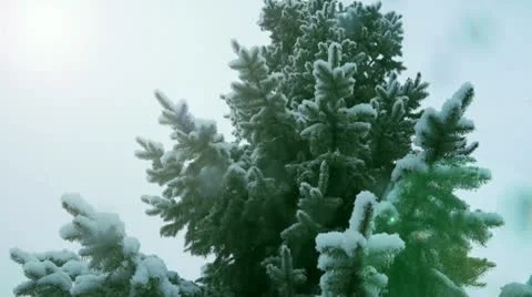 Snow flakes Stock Footage 10630528