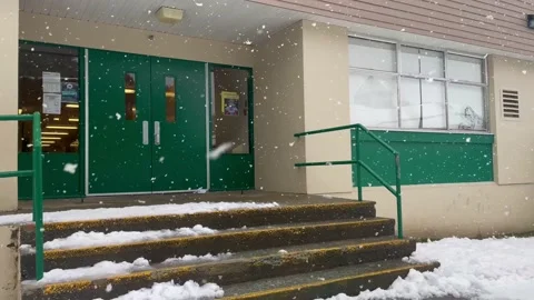 Snow Flakes Stock Footage 234237094