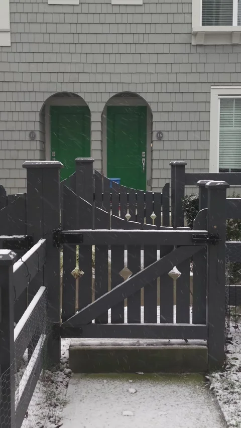 Snow flakes Stock-Footage 261100587