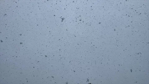 Snow Flakes in a Gray Winter Sky at Chatham, Cape Cod Stock Footage 230286938