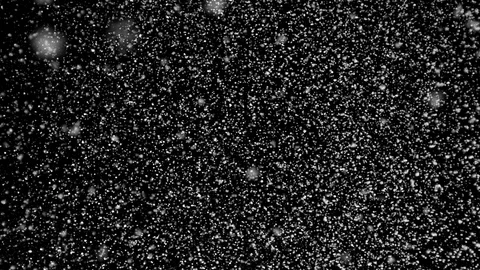 Snow flakes. High quality motion animation snow falling Video stock 117472191