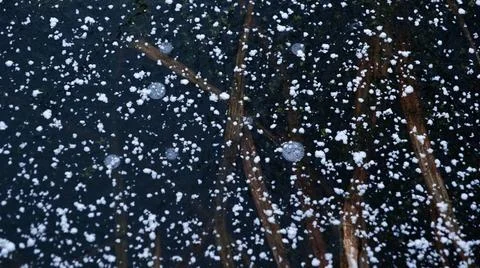 Snow Flakes on the Ice Surface Stock Photos