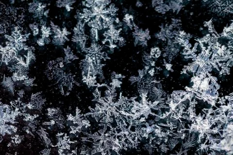 Snow flakes macro image with dark background Stock Photos